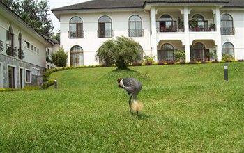 Stipp Hotel Gisenyi Extérieur photo